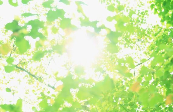 着物浪漫でデニム着物に着替えて旅行気分で美観地区散策